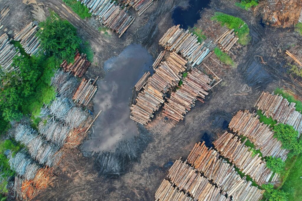 An aerial view of deforestation showing large piles of cut logs arranged across barren land, with patches of greenery struggling to survive—emphasizing the critical need for eco-friendly decisions to prevent habitat destruction and promote sustainable forest management.