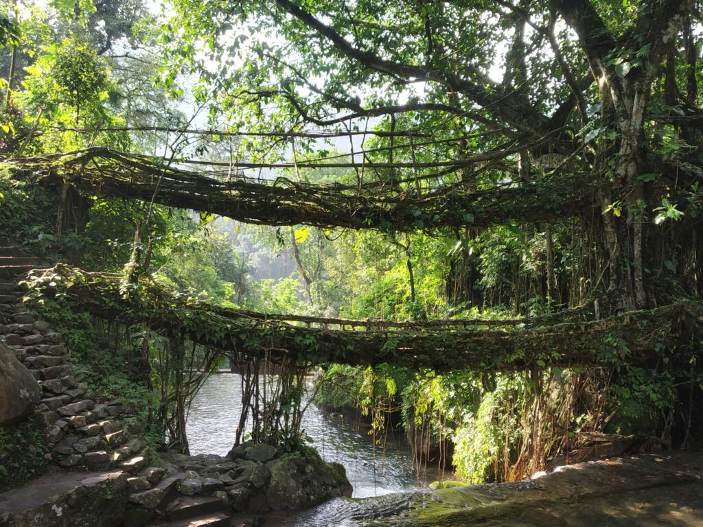 An eco-friendly destination in Meghalaya, India, featuring a double-decker living root bridge created from intertwined rubber tree roots, surrounded by dense greenery and a serene river—showcasing sustainable harmony between nature and human ingenuity.